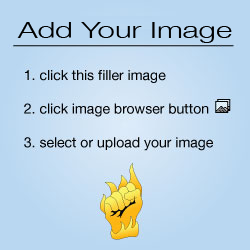 Insert image
